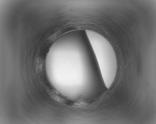 X0000080140125200612081036
