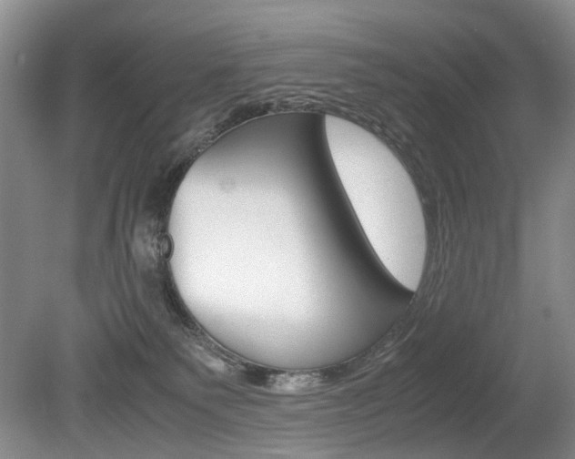 X0000080140135200612081036
