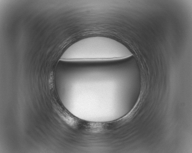 X0000080140144200612081036