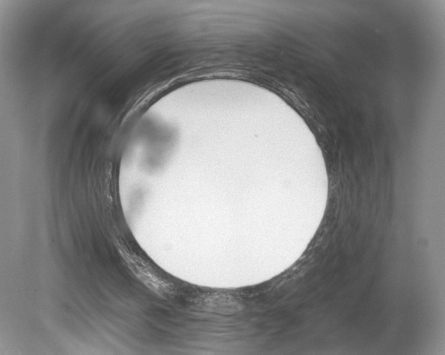 X0000080140146200612081035