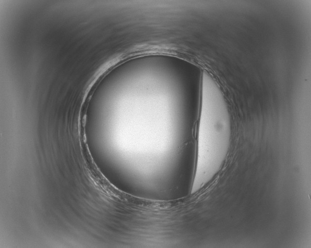 X0000080140148200612081035