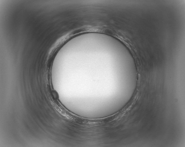 X0000080140149200612081035