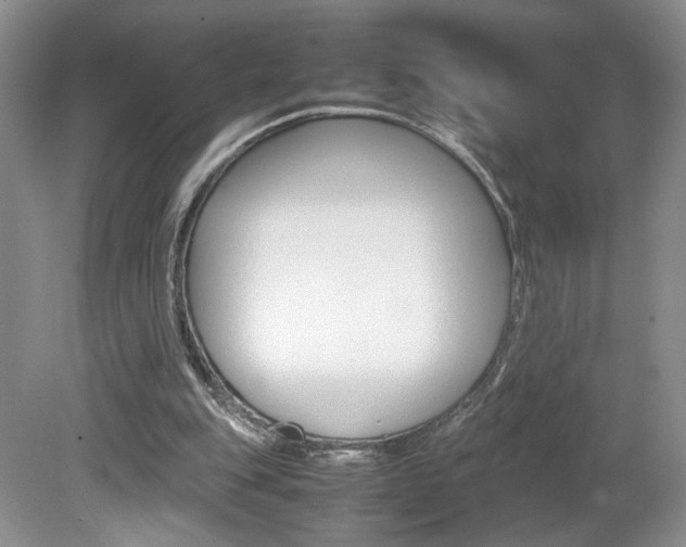 X0000080140151200612081035