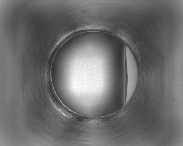 X0000080140156200612081035
