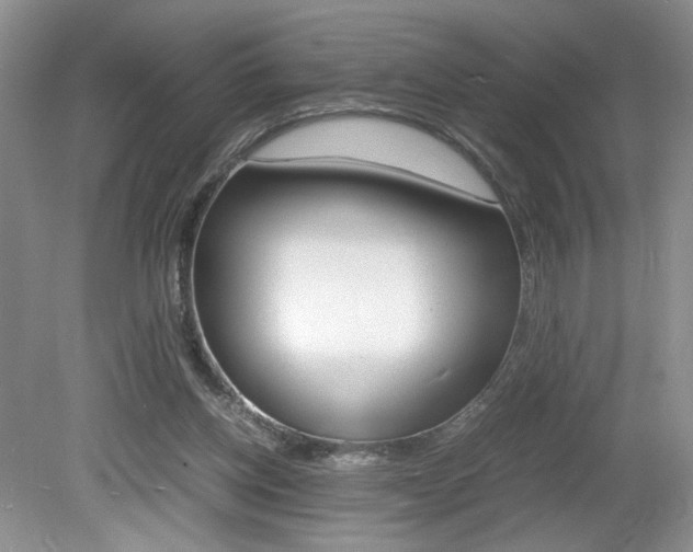 X0000080140158200612081035