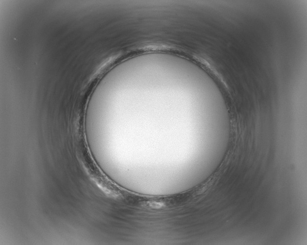 X0000080140159200612081035