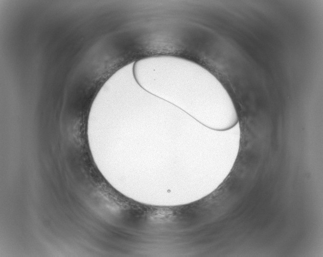 X0000080140162200612081035