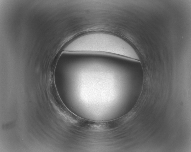 X0000080140164200612081035