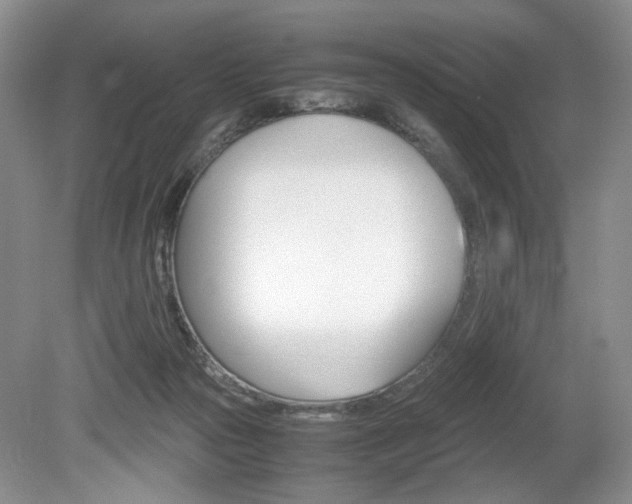 X0000080140169200612081035