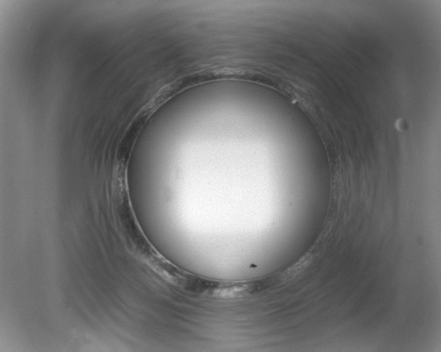 X0000080140172200612081036