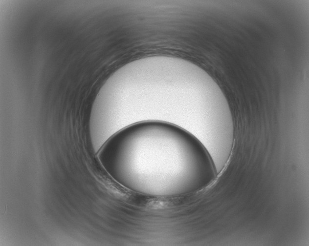 X0000080140174200612081036
