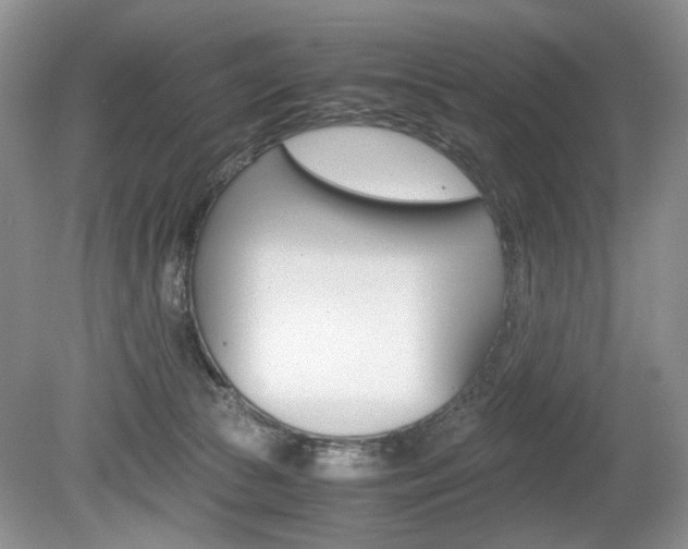 X0000080140177200612081036