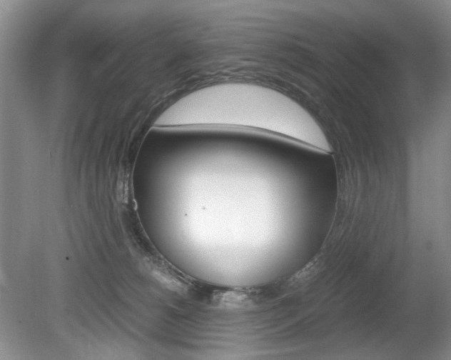 X0000080140180200612081036