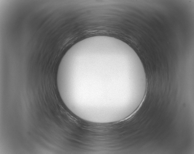 X0000080140190200612081036