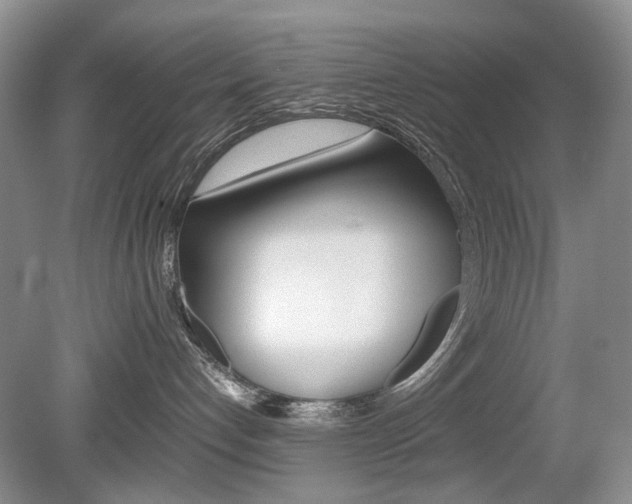 X0000080140192200612081036