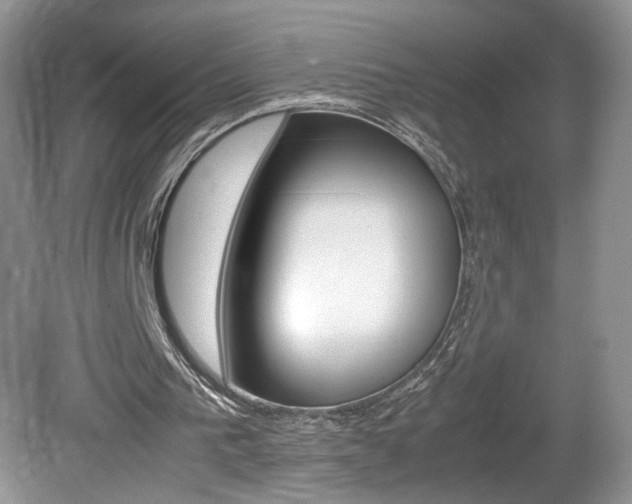 X0000080140193200612081035