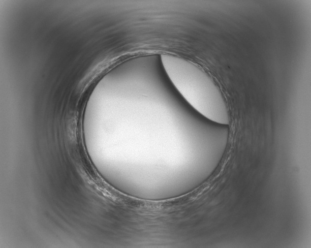 X0000080140194200612081035