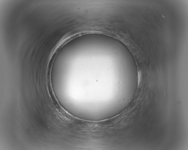 X0000080140195200612081035