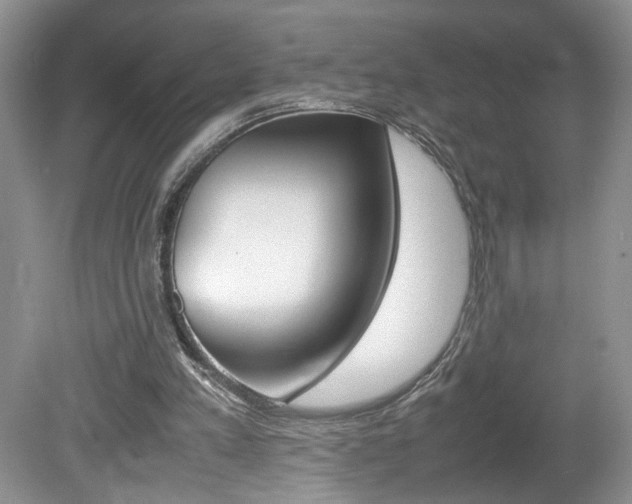 X0000080140197200612081035