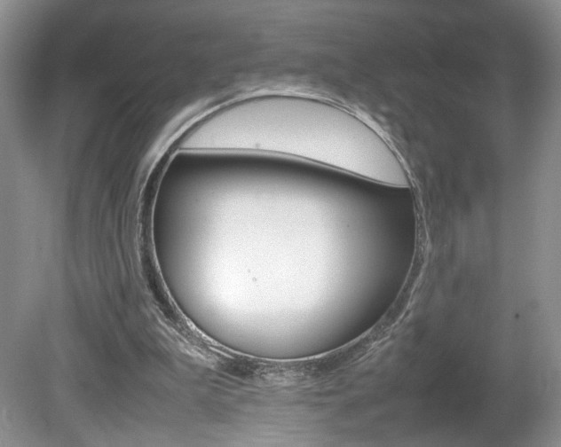 X0000080140199200612081035
