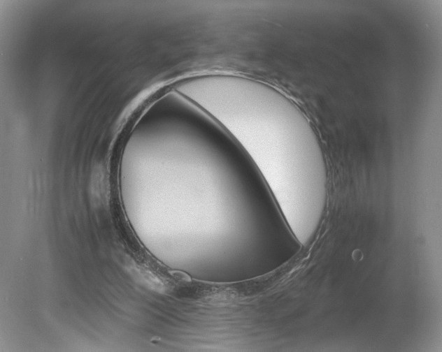 X0000080140200200612081035