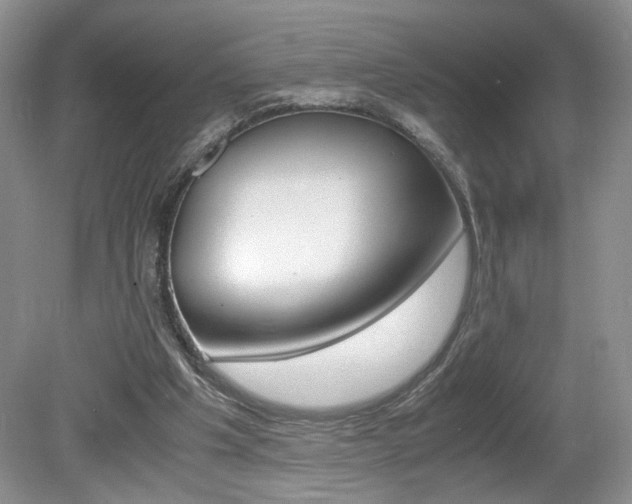 X0000080140201200612081035