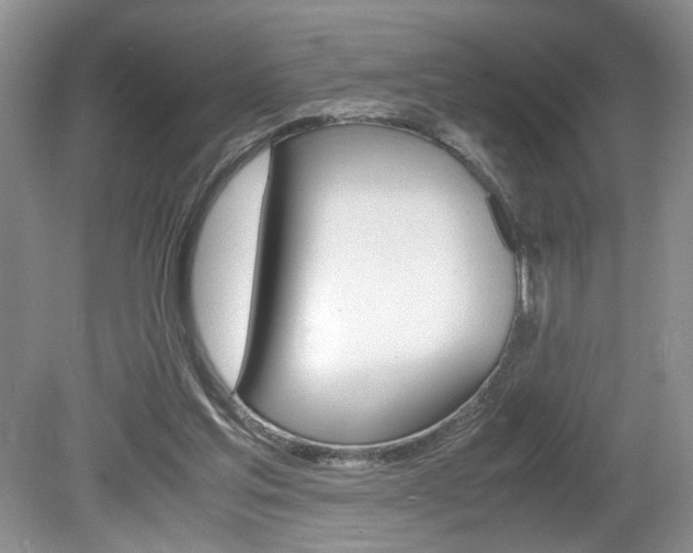 X0000080140205200612081035