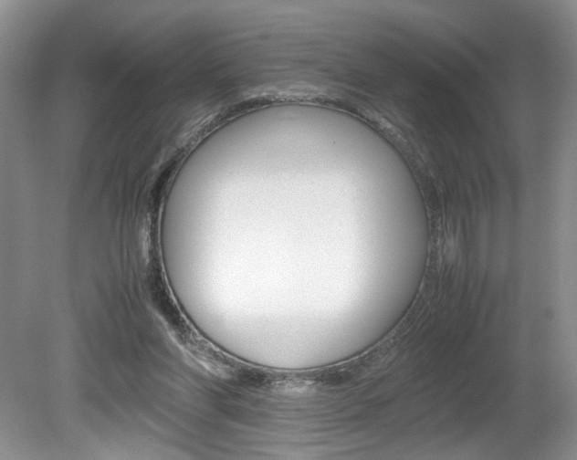 X0000080140206200612081035