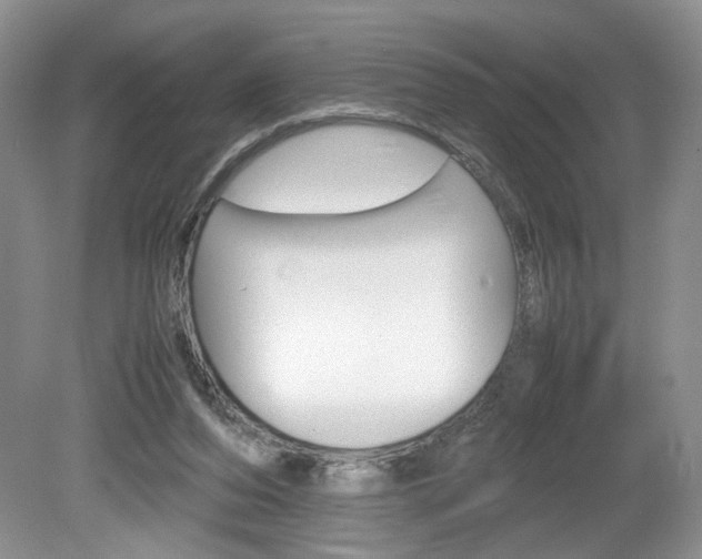 X0000080140208200612081035
