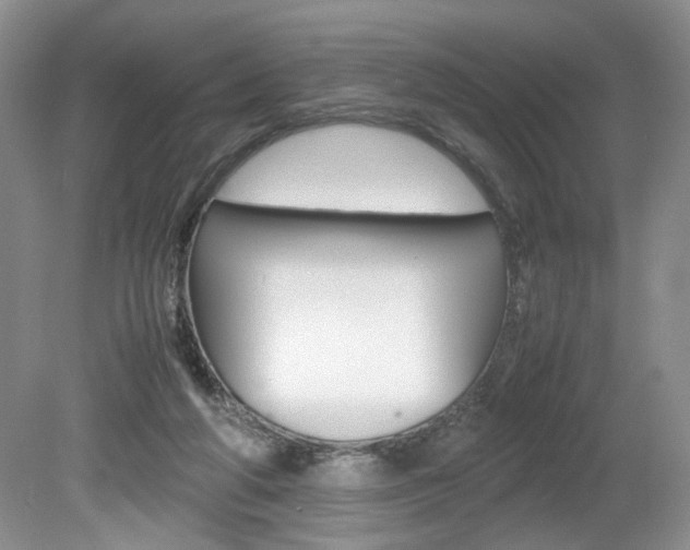 X0000080140210200612081035