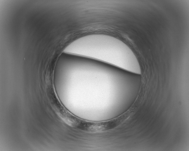 X0000080140213200612081035