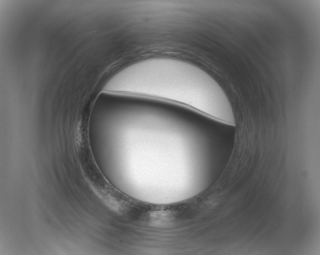 X0000080140216200612081035