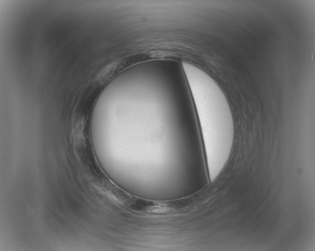 X0000080140219200612081035