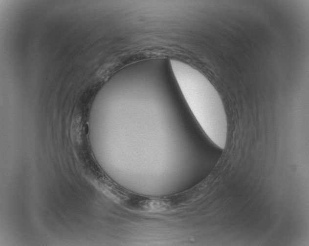 X0000080140223200612081035