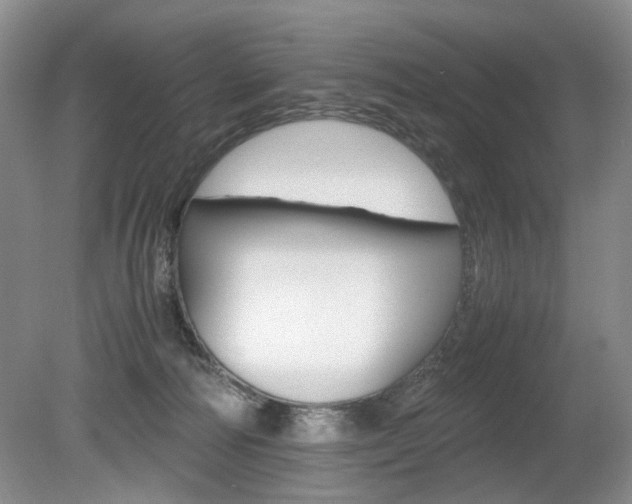 X0000080140226200612081035