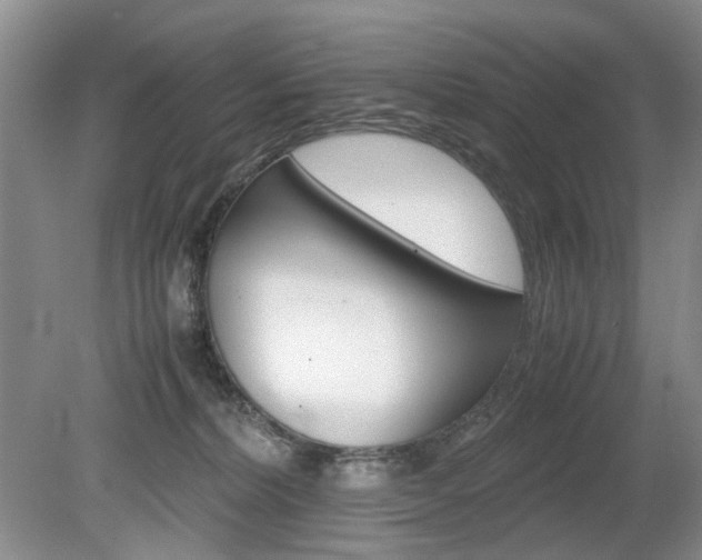 X0000080140228200612081034