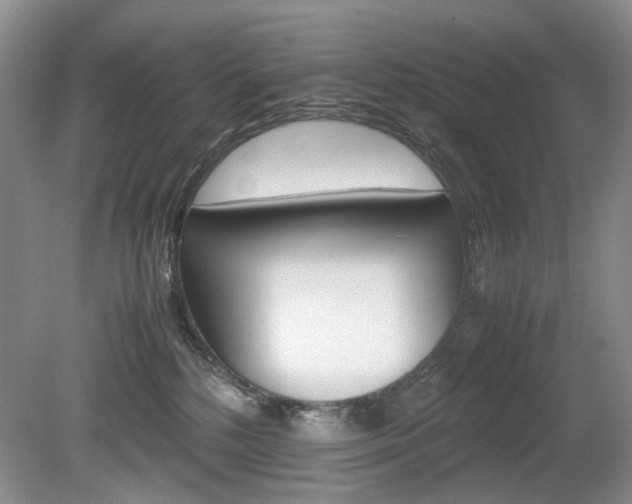 X0000080140232200612081034