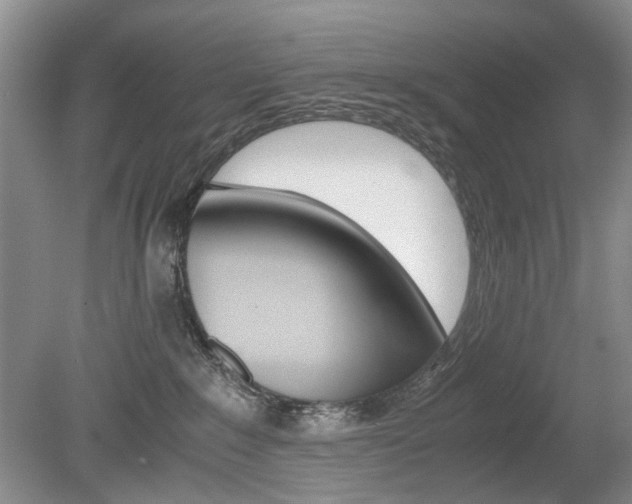 X0000080140235200612081034