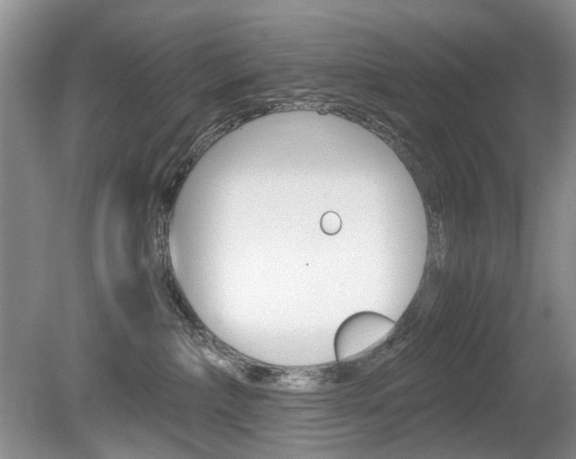 X0000080140236200612081034