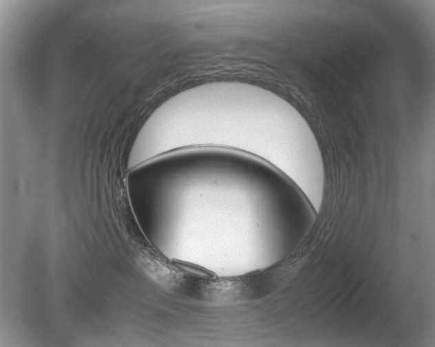 X0000080140237200612081034