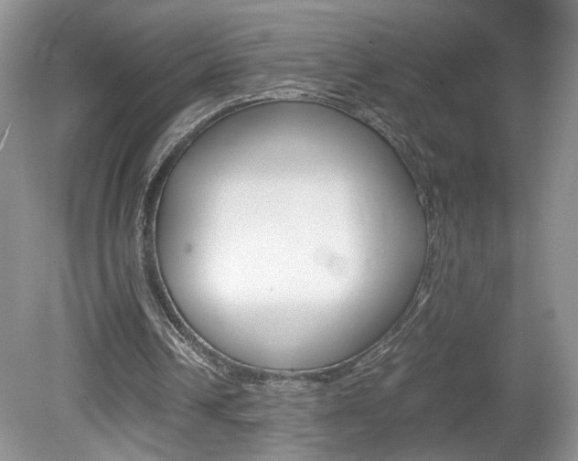 X0000080140242200612081033