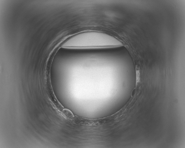 X0000080140243200612081033