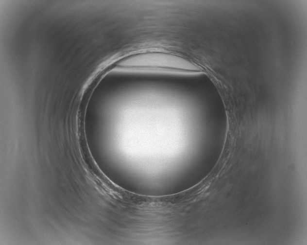 X0000080140244200612081034