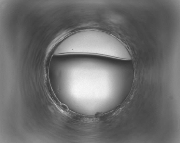 X0000080140245200612081034