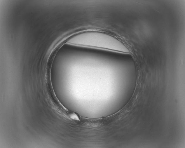 X0000080140247200612081034