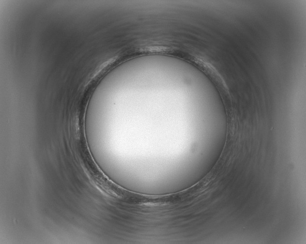 X0000080140251200612081034