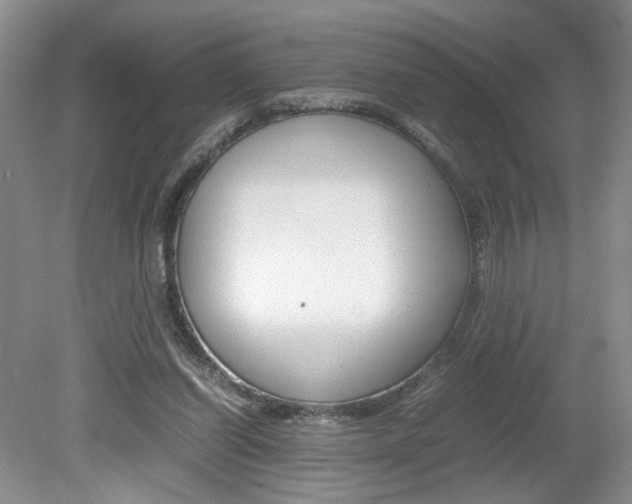 X0000080140254200612081034