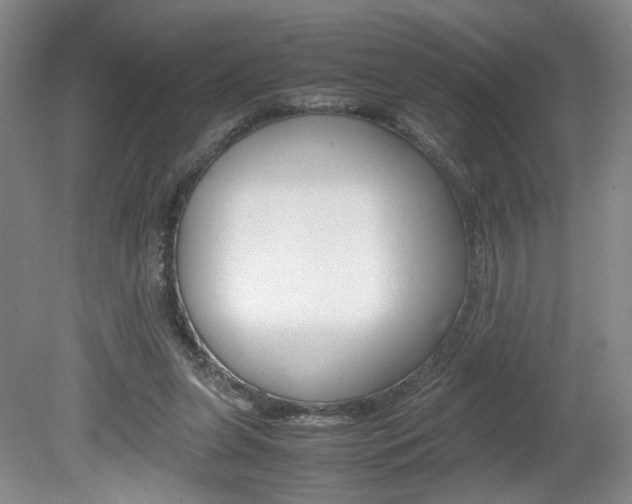 X0000080140255200612081034