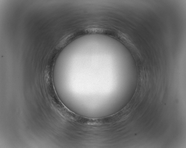 X0000080140259200612081034