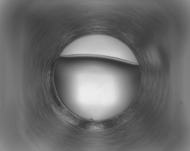 X0000080140263200612081034